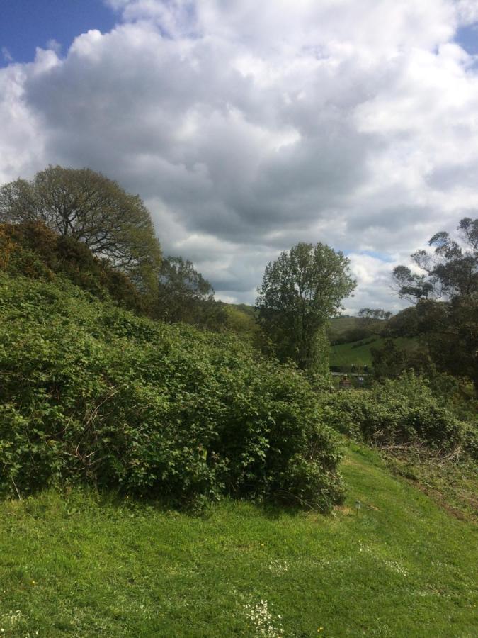 Willow Valley Bude Esterno foto